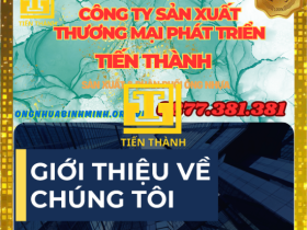 TÊ PVC 42/21 BÌNH MINH