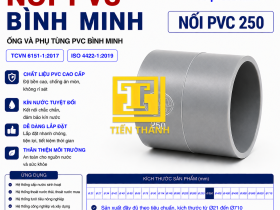 NỐI PVC 250 B&Igrave;NH MINH 